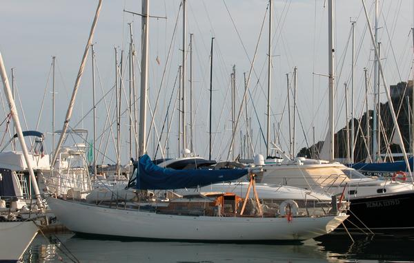unknown yacht built by Morgan Giles Ltd