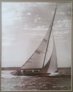 ailanthus-beken-1949